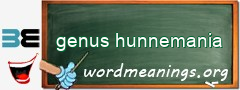 WordMeaning blackboard for genus hunnemania